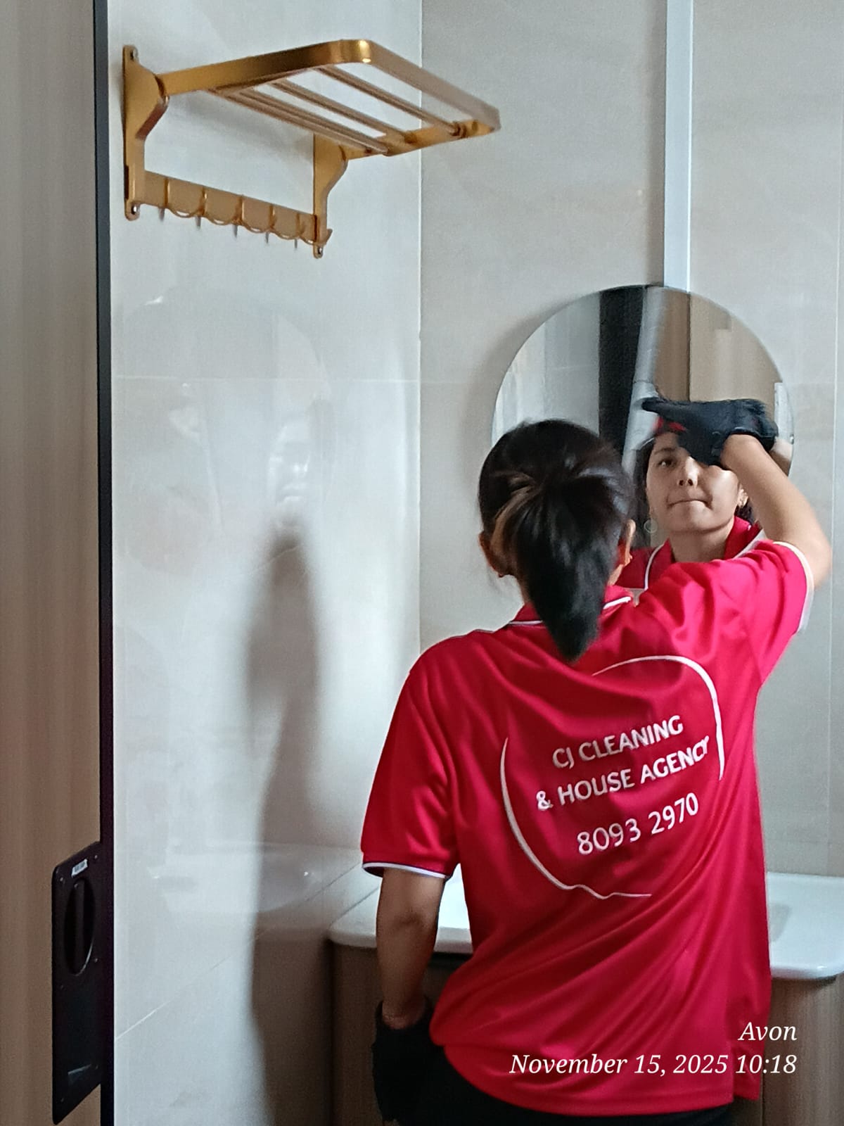 Avalon professional ironing and laundry folding service in Singapore home